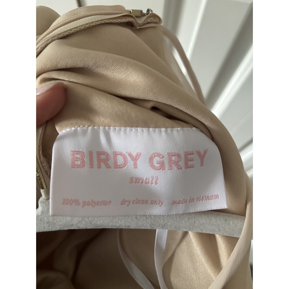 Birdy Grey Small Blush Pink Maxi Dress with Ruffle Detail - Picture 7 of 8